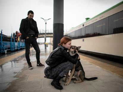 Violetta Khadasevich besa a su perro 'Mike' en el andén de Badajoz antes de subir con su marido, Serguei Dzemikhov, al tren que les llevará junto a otros refugiados de la guerra en Ucrania hasta Lisboa.