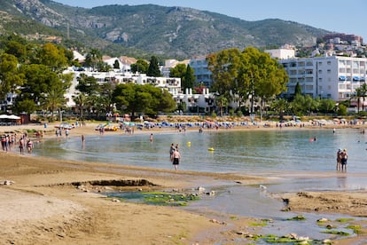 Playa de Les Fonts, en el término municipal de Alcalà de Xivert (Castellón).