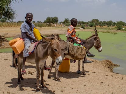 Dos ni&ntilde;os dan de beber a sus burros en una charca sucia en Diffa, N&iacute;ger. 