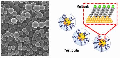 Nanopartículas vistas con microscopio electrónico, izquierda, y esquema de la estructura de las mismas recubiertas con las moléculas listas para fabricar nieve