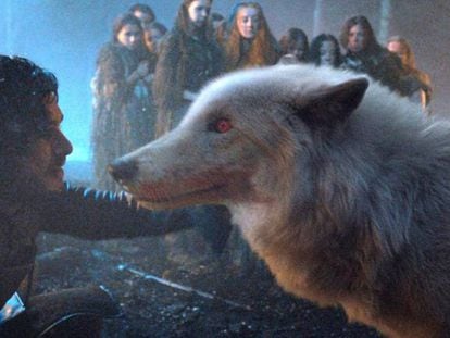 Kit Harington como Jon Snow, con el lobo 'Ghost'.