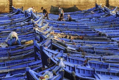 Una flota de pesqueros, los llamados “barcos azules”, en el muelle de Essaouira enfilando el Atlántico.