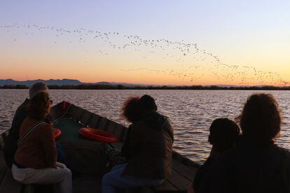 Visitantes en una barcaza de madera observan una bandada de ibis en la Albufera momentos antes de que se ponga el sol.