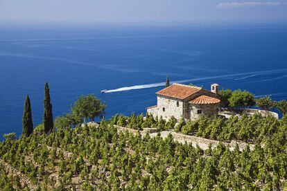 Villa y viñedos sobre la costa cerca de Colle d'Orano, en la isla de Elba (Italia). 