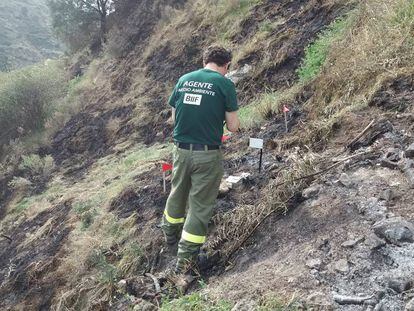 Agentes de la Brigada de Investigación de Incendios Forestales, en Moguer.