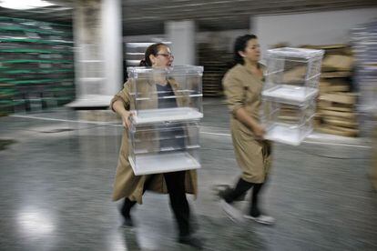 Dos mujeres trasladan urnas en un local electoral de Sevilla.