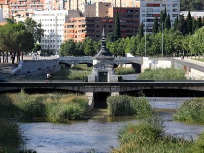 El río Manzanares tras su renaturalizalización, el pasado agosto.