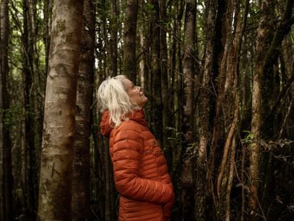 La estadounidense Kristine Tompkins en medio del bosque del Parque Nacional Pumalín, en el sur de Chile.