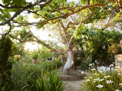 El jardín de Umberto Pasti en Rohuna (Marruecos).