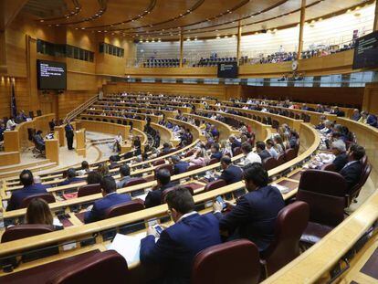 El pleno del Senado durante la defensa de la moción por el senador Fernando Martínez.