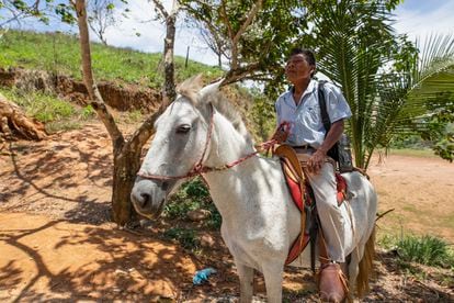Santiago Figueroa, de 68 años, monta su caballo en Salitre. “Estoy en contra de la violencia y contento de convivir con agricultores no indígenas”.