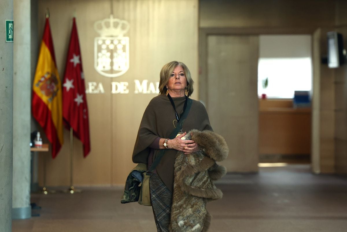 Consuelo Ordoñez accuse Ayuso pour le traitement réservé par Madrid aux victimes du terrorisme : « Ils nous manquent de respect » |  Madrid |  Espagne