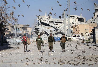 Rebeldes sirios caminan entre pájaros en el pueblo fronterizo de al-Bab, en la provincia siria de Alepo.