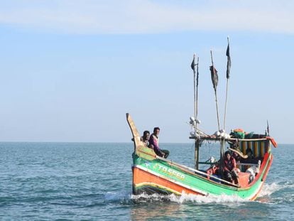 Pesvadores en Saint Martin, Cox Bazar, Bangladés.