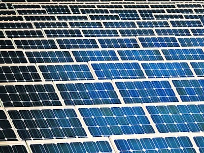 Paneles solares en una planta fotovoltaica.