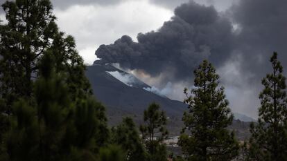 Erupción del volcán de La Palma, desde un pinar de la localidad de El Paso el 17 de noviembre.