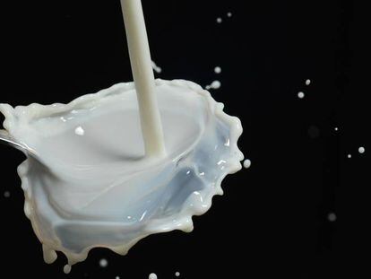 Si tiene un bebé, tenga cuidado con la leche en polvo: Puleva retira varios lotes por riesgo de salmonelosis