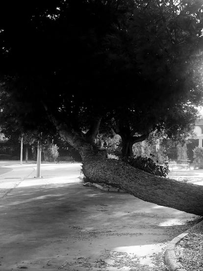 Imagen perteneciente a 'Limbo', publicado por Ediciones Anómalas, 2023.