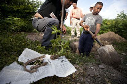 Excavación en Iguala en octubre de 2014.