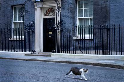 El número 10 de Downing Street, con el gato 'Larry' de la residencia del primer ministro en primer término.