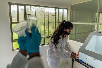 Marcela Pinilla y Consuelo Rincón, trabajando en el laboratorio. 