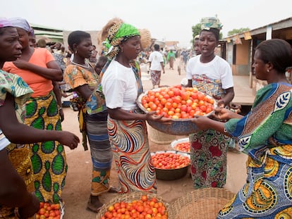 Un grupo de vendedoras de tomates en el mercado principal de Dapaong, en Togo.