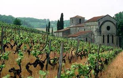 Imagen de unos viñedos en la zona de Burdeos.