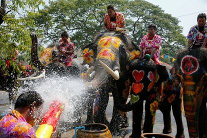 Los ciudadanos se visten de colores vivos y entran en una guerra de agua frente a frente con los elefantes.