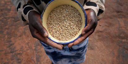 Maria Chagwena, una agricultora de Zimbabue, muestra un cuenco con granos de mijo.