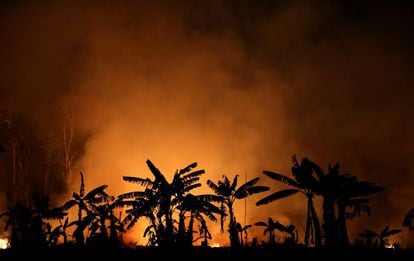 Un incendio quema un tramo de selva amazónica cerca de Porto Velho, en Brasil.