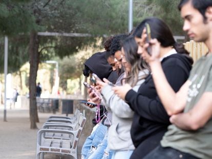 Un grupo de jóvenes consultan sus móviles, en una imagen de la Fundación Adsis.