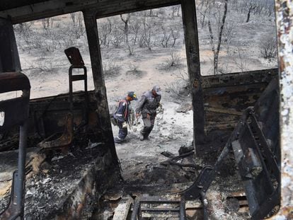 Devastación causada por un incendio forestal, el 18 de agosto en El Kala (este de Argelia).