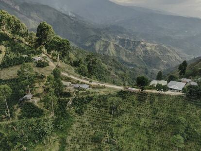 En busca del mejor café del mundo