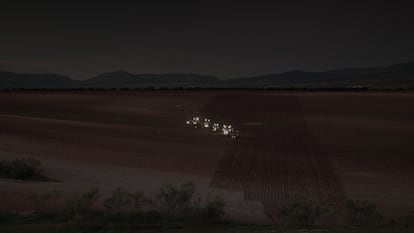 Realismo mágico en los paisajes de Tierra de Barros.