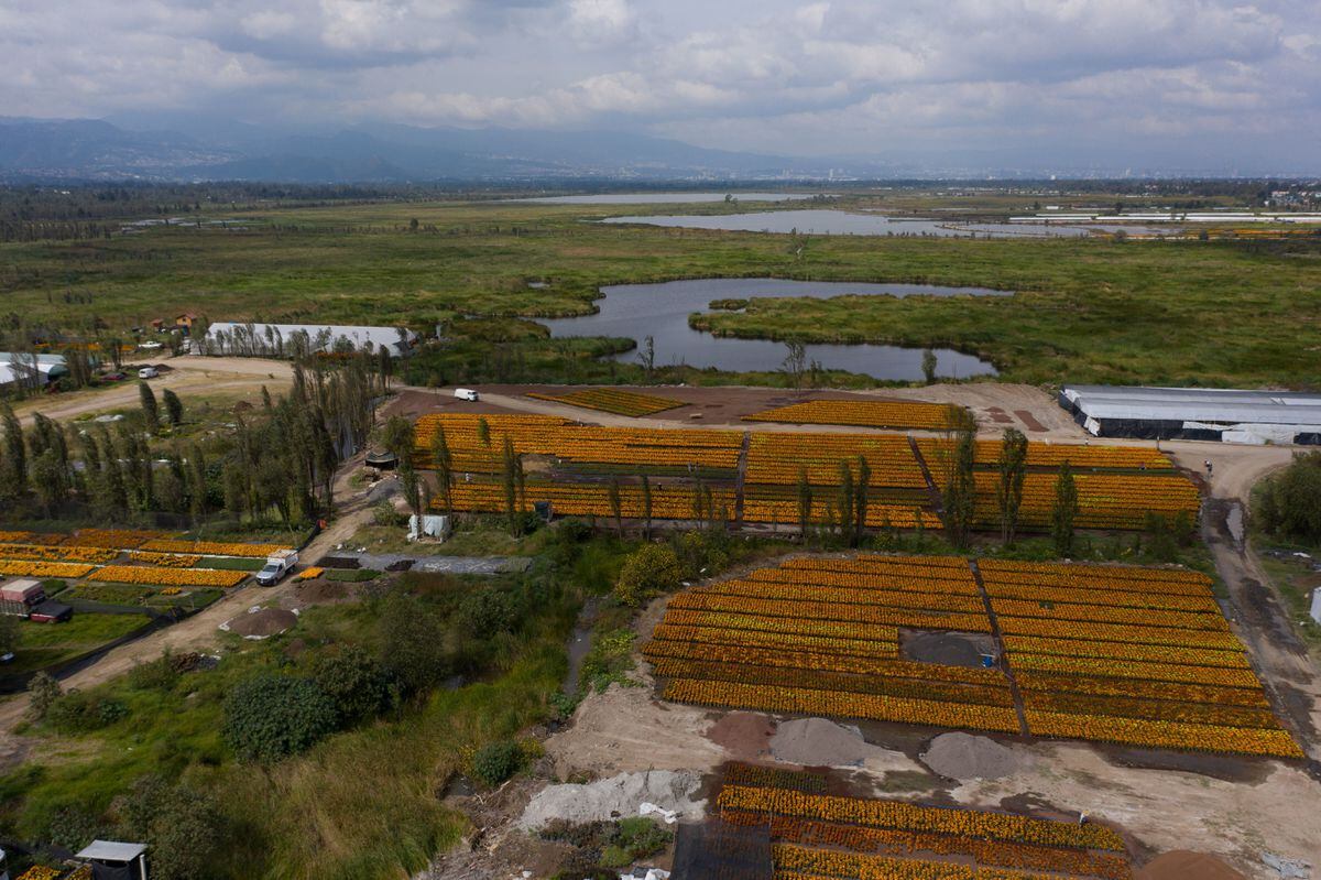 Xochimilco detiene la construcción de un cuartel de la Guardia Nacional en un área natural protegida