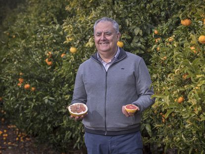 El biólogo Manuel Talón posa con un pomelo en el Instituto Valenciano de Investigaciones Agrarias, en Moncada (Valencia), en 2018.
