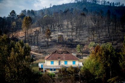 A house surrounded by burnt forest in the town of A Veiga da Cascallá (Ourense), on Tuesday.