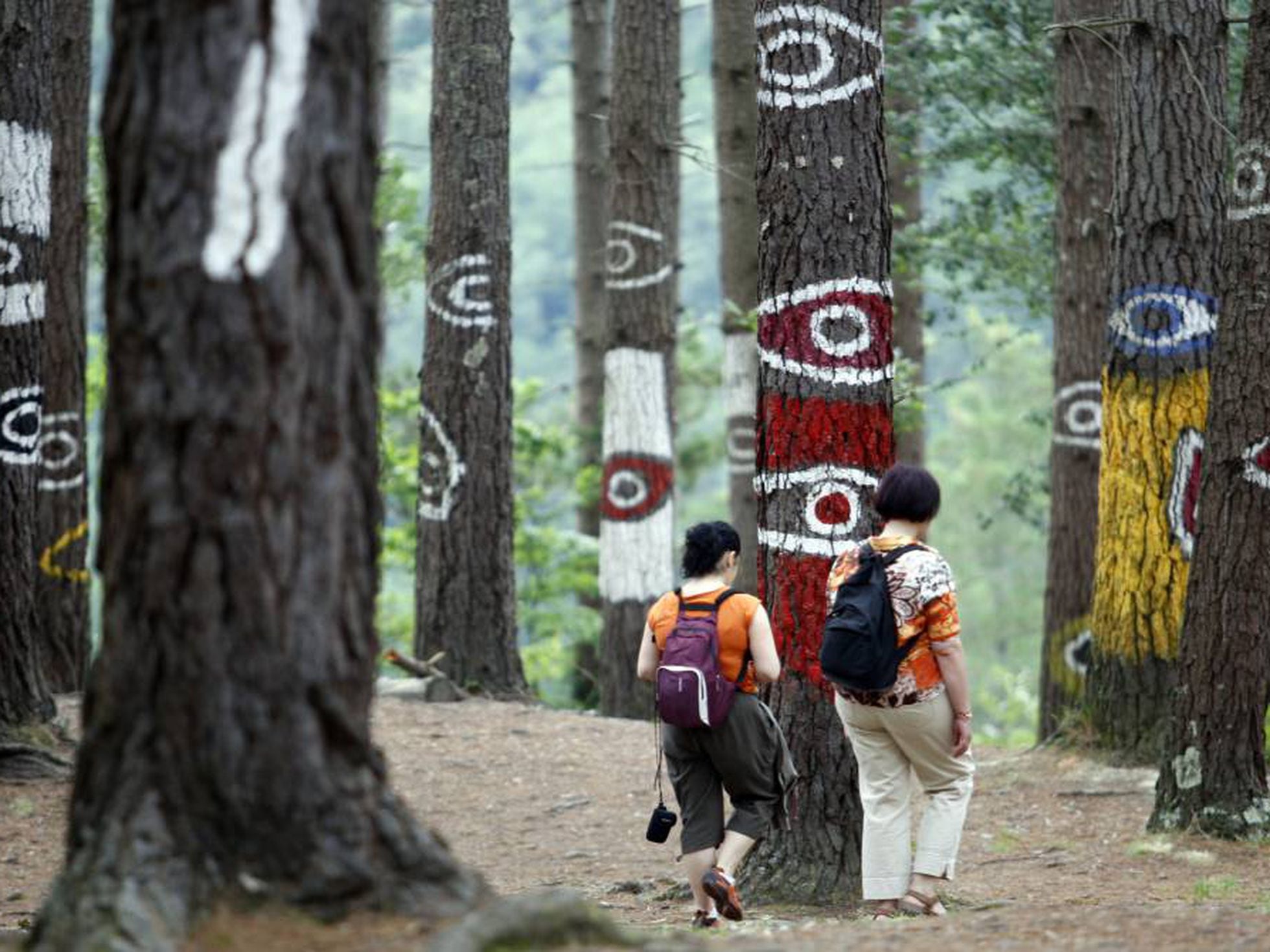 El Bosque Pintado de Oma enferma por una plaga de hongos | Cultura | EL PAÍS