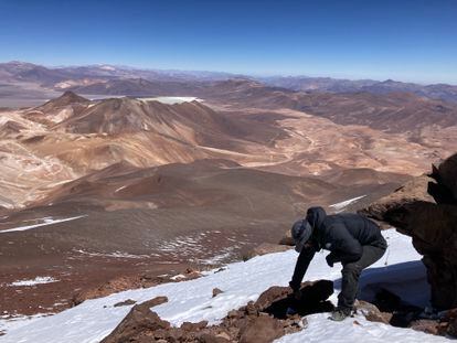 Naim Bautista looks for mummified mice on the Copiapó volcano, 6,052 meters above sea level.