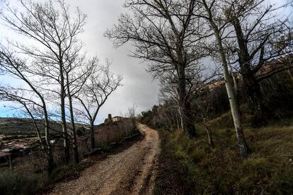 Castilla y León y Castilla-La Mancha acumulan buena parte de los núcleos olvidados que administra Aldeas Abandonadas, una inmobiliaria que ayuda a quienes quieren adquirir poblados despoblados completos. 