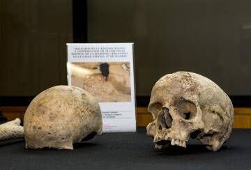 Dos de los cráneos hallados durante la excavación del osario de la calle de Atocha.