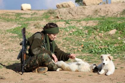 Una combatiente cristiana juega con dos perros en Al-Qahtaniyah (Siria).