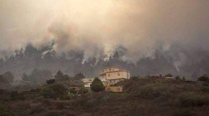 El humo se eleva en el incendio forestal en las afueras de la ciudad de El Paso, en la isla canaria de La Palma.