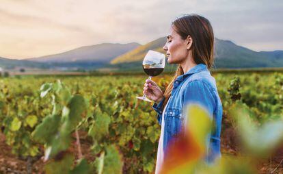 La Región de Murcia ofrece vinos blancos, tintos y rosados de tres de Denominaciones de Origen: Bullas, Jumilla y Yecla.