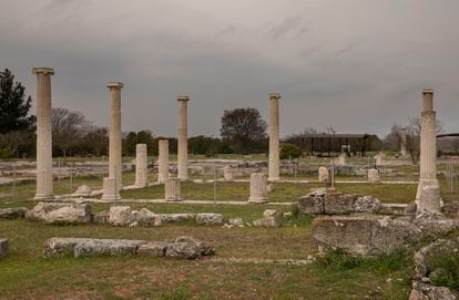Ruins of Pella, the capital of ancient Macedonia during the time of Alexander the Great, Greece.