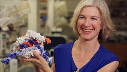 Jennifer Doudna, en una imagen tomada en su despacho de la Universidad de California en Berkeley, en 2015.