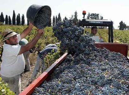 El campo andaluz perdía empleo desde mediados de los noventa. La tendencia se frenó de forma brusca el verano pasado.