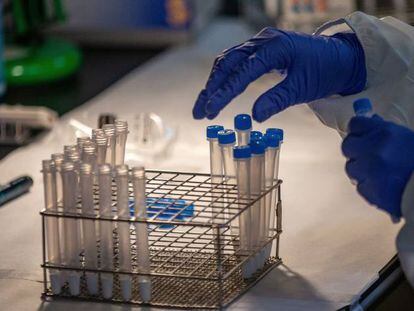 -Profesionales sanitarios realizan test antígenos masivos de detección de la COVID-19 en el recinto modernista del Hospital de Sant Pau.