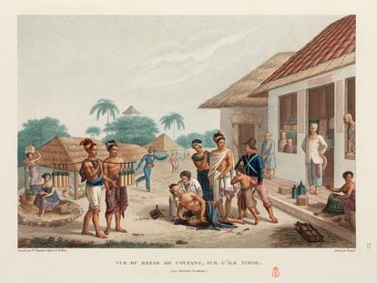 Ilustración de Timor de Louis Claude Desaulses de Freycinet (1779-1842), publicada en París entre 1824 y 1844.