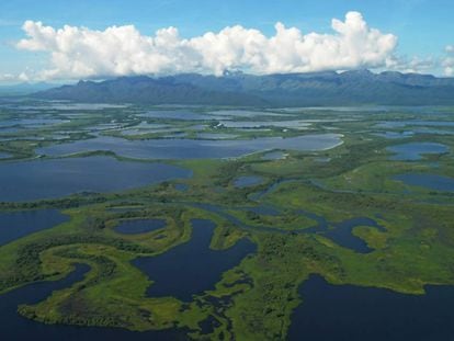 Vista aérea del Gran Pantanal, ubicado en la región del Mato Grosso, en Brasil.